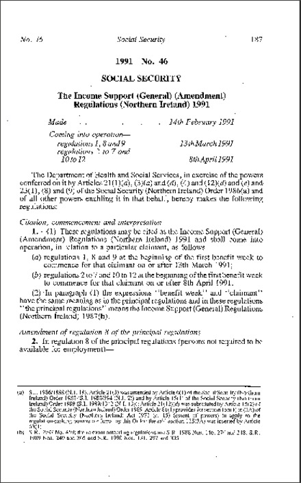 The Income Support (General) (Amendment) Regulations (Northern Ireland) 1991